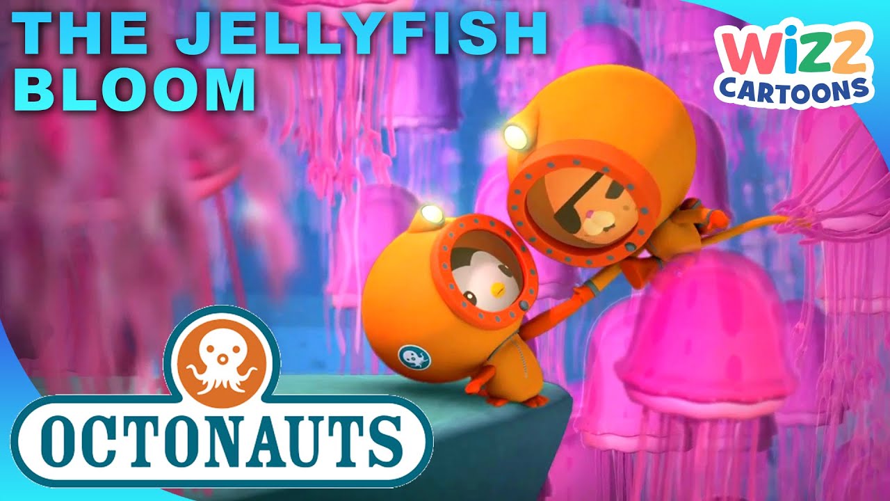 Octonauts The Jellyfish Bloom 🪸 Series 1 Full Episode 36