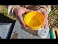 Formation 3 les ruchers parinet le comptage varroa comment faire