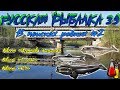 Русская рыбалка 3.9. В поисках редких #2