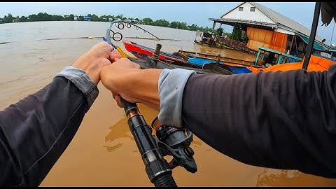 Câu Cá Vồ Đém Mùa Nước Nổi #40 || Bài Mồi Mới Cũng Khá Hiệu Quả .