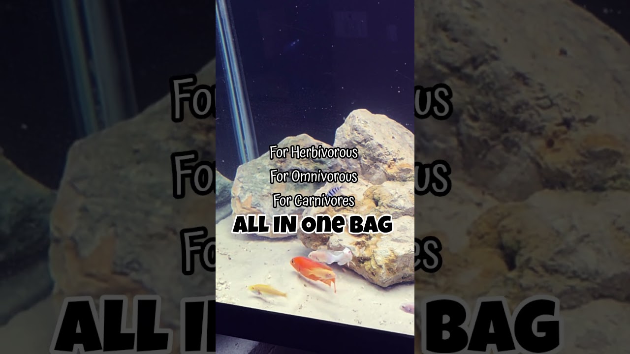 COMMUNITY FISH FOOD PELLETS #aquafunk #fishkeepinghobby #fishfood #fishfoodpellets #tropicalfishfood