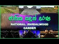 Sadun Arana | Sandun Uyana | Sandun Uyana Colombo | Sandun Uyana Battaramulla | Sandun Uyana Park