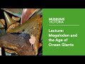 Museum lecture megalodon and the age of ocean giants