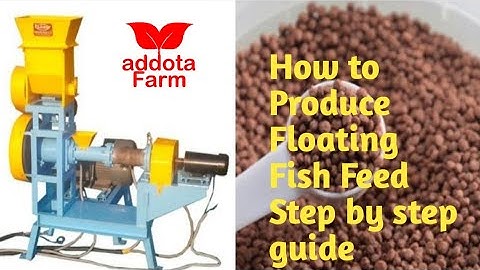How to Produce Floating Fish Feed Step by step guide /Addota farm in nigeria