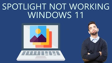 How to Fix Spotlight Not Working on Windows 11?