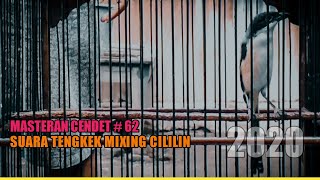 Suara Cendet Isian Tengkek Mix Cililin | Masteran Trotol