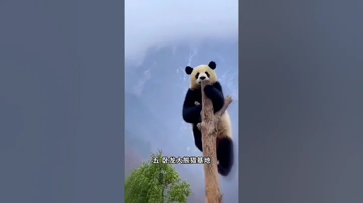 四川最值得去的六个地方，您打卡过几个？#旅行推荐官  #旅行  #旅游攻略   #景点推荐 #景点 #旅游 #旅游攻略 - 天天要闻