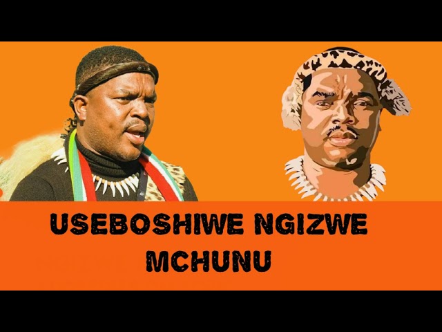 Ewu Ezibuhlungu Azipheli Ngo Macingwane!! class=