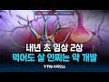 먹어도 살 안찌는 약 개발...비밀은 뇌에 있었다!