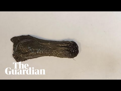 Scientists develop a moving, shape-shifting magnetic slime
