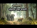 मोहरेंगा नेचर सफारी || Mohrenga Nature Safari Raipur || Chhattisgarh || Vlogs Rahul