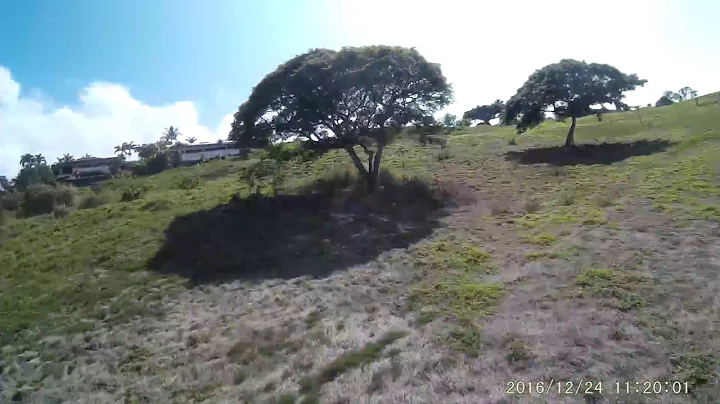 Diatone Gt200 Kam3  Punch glide and tumble