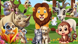 Cute baby monkeys: Monkey, Dog, Cat, Lion, Sloth, Horse, Weasel, Alpaca - Animal Videos