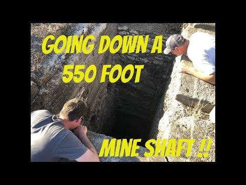 #136 Bodies found
