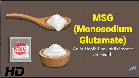 MSG Monosodium Glutamate: The Controversial Additive Explained