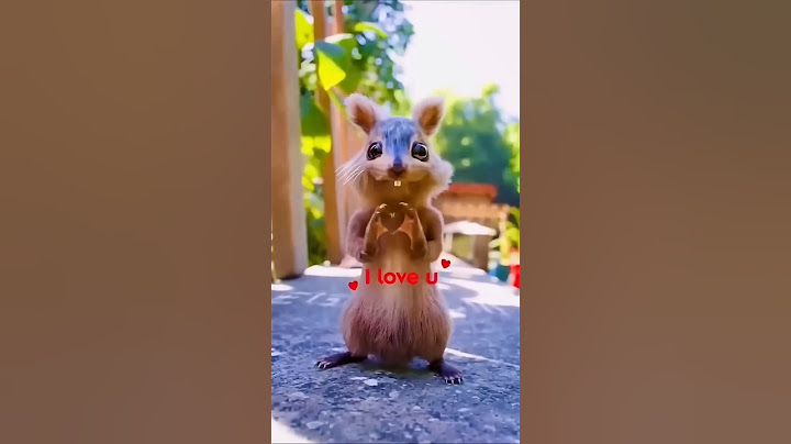 Gaurav Ka Friend Kesa Laga Aapko #shorts #gauravaroravlogs #youtubeshorts