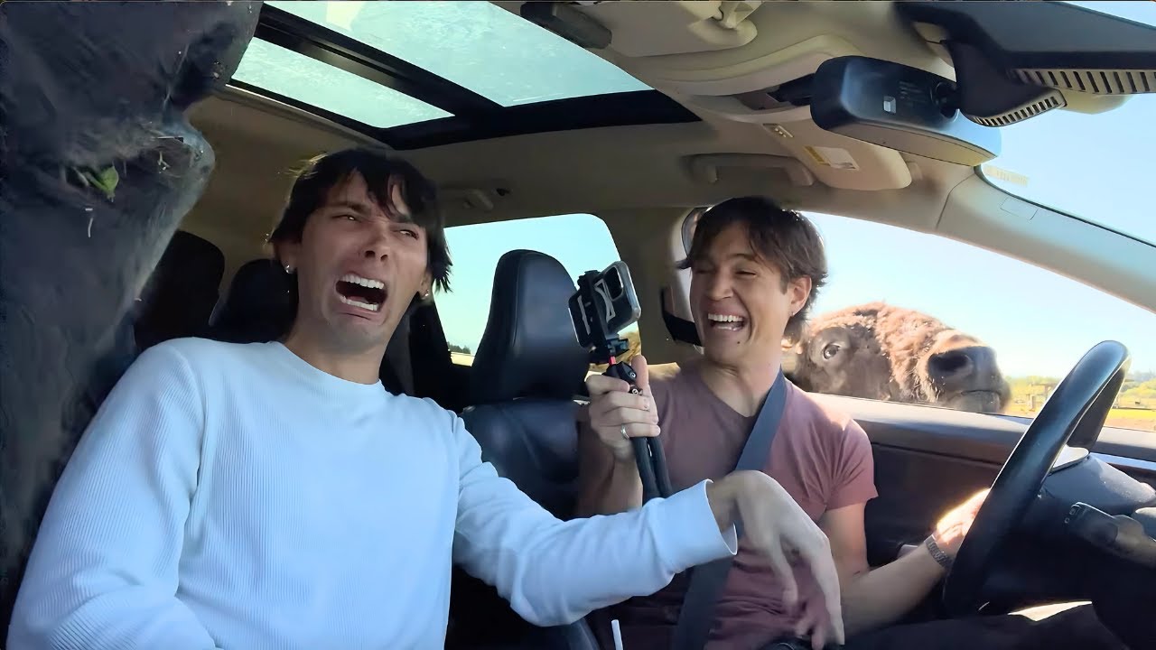 Семья Мизли отправляется на сафари