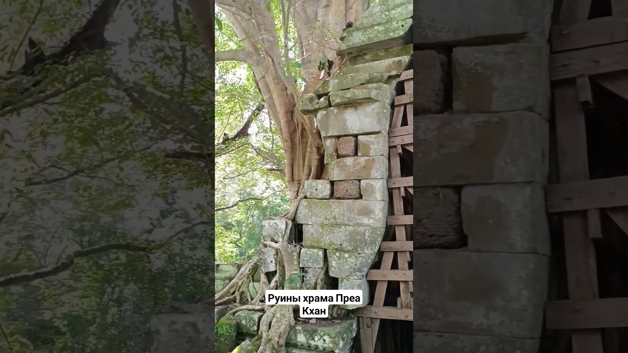 Храм Преа Кхан в провинции Преа Вихеа 