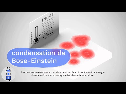 Animação Quântica: Condensado de Bose-Einstein