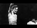 Pipino cuevas vs roger stafford  highlights upset of the year