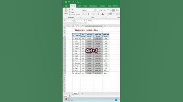 Cách Thêm Đơn Vị Tiền Tệ Trong Excel (VNĐ, USD) #kienthuc #excel #freefire #education #funny #fyp