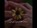 إذا كنت سانقذ أميرة فيجب أن أ جهز نفسي انتقام بزواج مثالي Perfect Marriage Revenge 