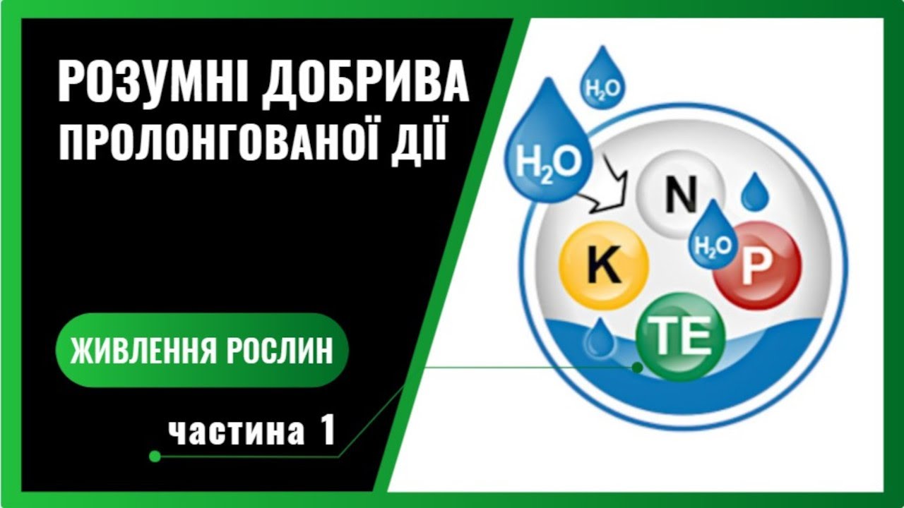 Лучшие удобрения работают, чтобы вы отдыхали. Эксперт об удобрениях с контролируемым высвобождением