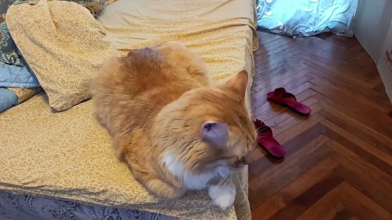 Кузенька слушает, обращение мамы, Наташа подскажите! 