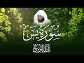 سورة يس بصوت الشيخ بدر التركي 