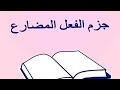 Jussive Case of the Present Verb in Conditional Sentences High School 2023 mp3