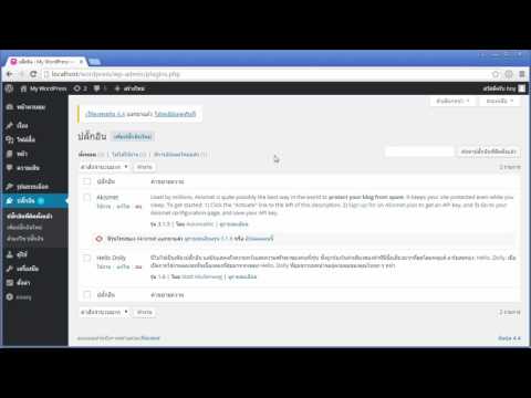 What is a WordPress plugin?