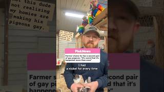 My Homies making his pigeons gay and he doesn't even know - #brainrot #aislop #gaming #pride
