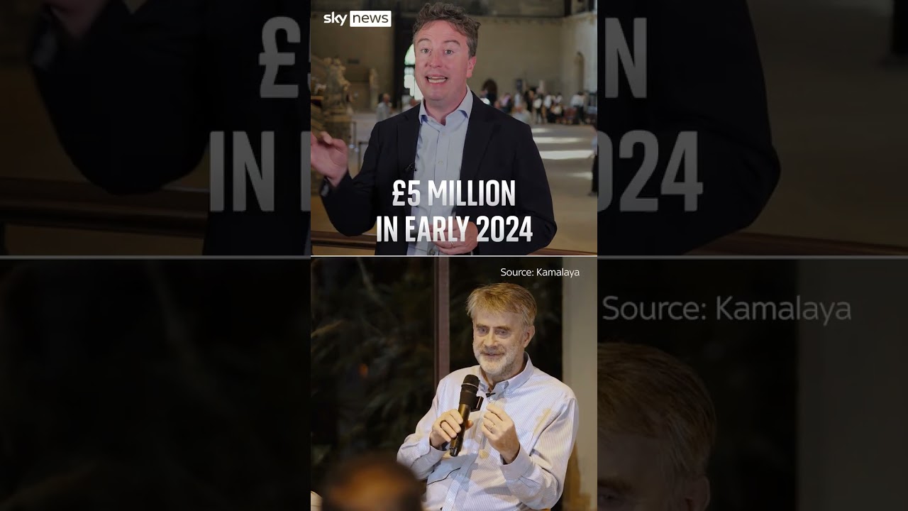 What are the investigations plaguing Farage?