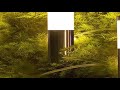 DEAL Solar Pathway Lights Waterproof Upgraded Walkway Landscape Outdoor Driveway Auto On/Off Lights