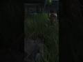 no he's not #thelastofuspart2 #tlou #gaming #games #clips