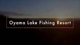 Oyama Lake Eco Lodge Drone Flyby