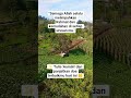 🤲 "Di antara ribuan harapan, jangan pernah lelah berdoa. Allah Maha Mendengar setiap bisikan hati."