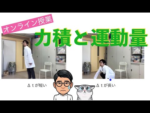 力積と運動量で知る！なぜ猫は着地時に足を曲げる？【高校物理 実験+プリントあり】