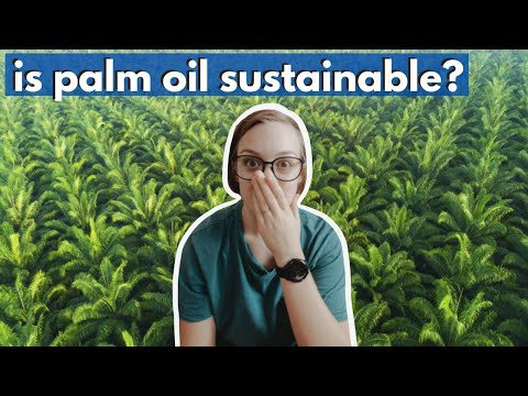 Video: Kuriuose gaminiuose naudojamas netvarus palmių aliejus?