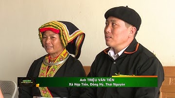 Người Dao Hợp Tiến giữ gìn bản sắc văn hoá