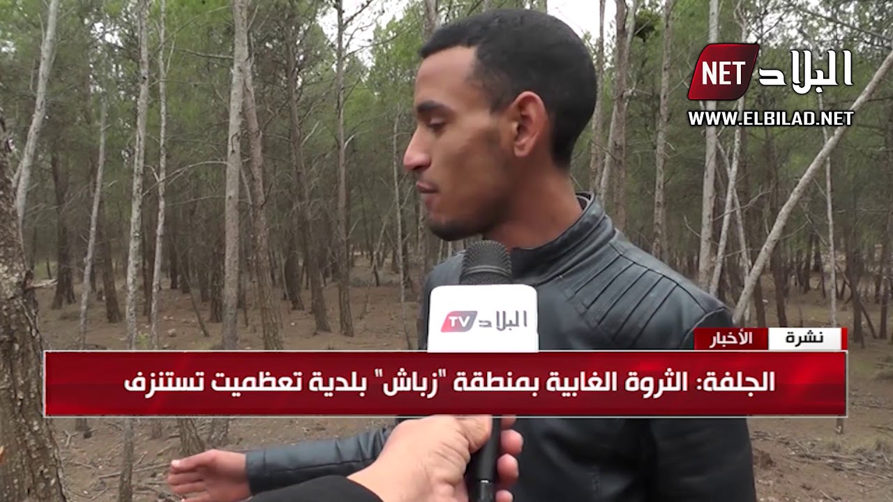 الجلفة : الثروة الغابية بمنطقة  