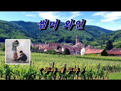 썸머 와인(Summer Wine)💜뚜아 에 무아(박인희&이필원), 자막수록 (HD With Lyrics)🌴🌿🍒🌻🍓