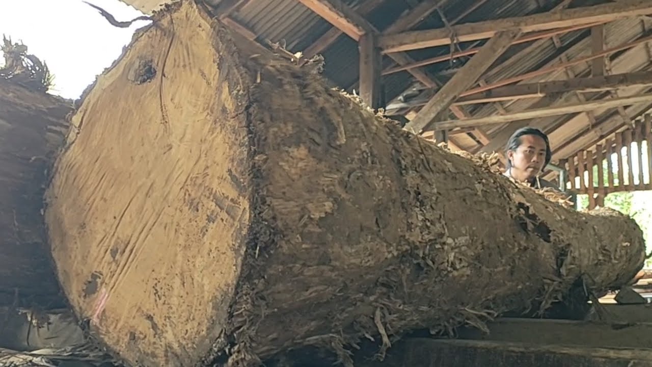 The amazing process of sawing old teak logs in a sawmill - YouTube