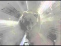 Miniature de la vidéo de la chanson The Bears