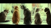Ykk Ap公式 窓と猫の物語 幼なじみ 篇 60秒 Story Of A Window And A Cat Childhood Friend Youtube