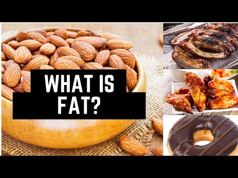 Video: Hvad er vigtigheden af den perirenale fedtkapsel?