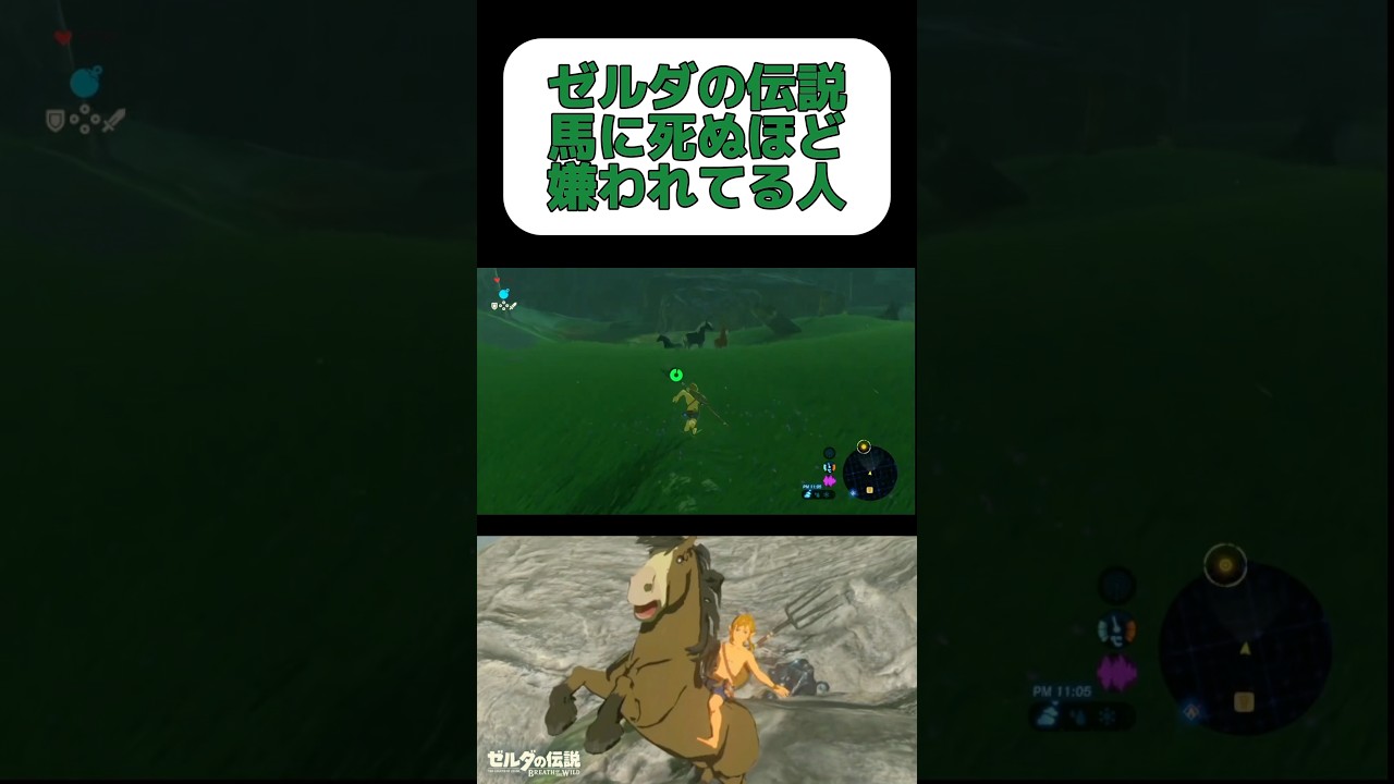 馬に嫌われている#shorts #ゲーム実況 #ゼルダの伝説 #ブレワイ 馬に嫌われている#shorts #ゲーム実況 #ゼルダの伝説 #ブレワイ