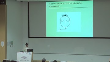 Stem Cell Strategy for Nervous System Disorders