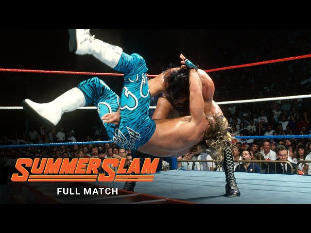 Bret Hart vs. Shawn Michaels in a Ladder Match for the