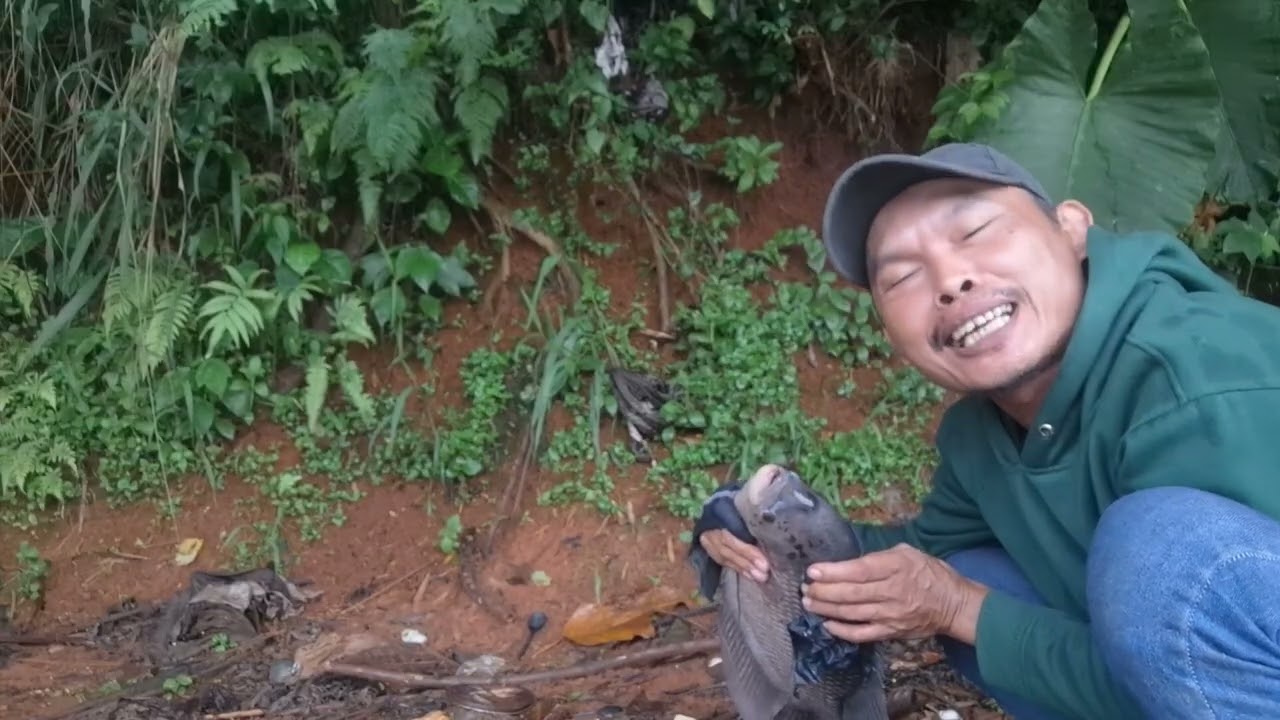 GA PERNAH HABIS GURAME DI PMC UNDUY SELALU ADA !!!! MUANTAAAP 